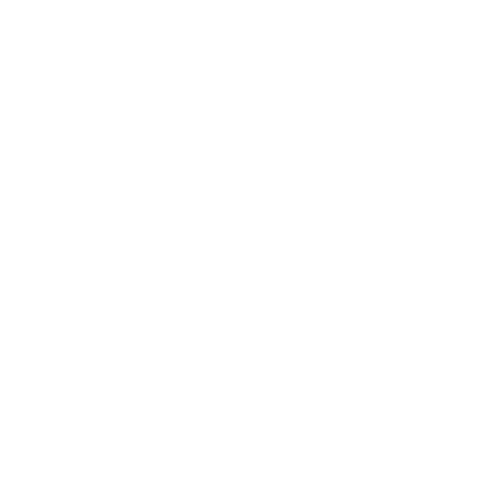 Enigma Capital logo
