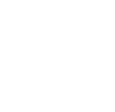 LM5 logo